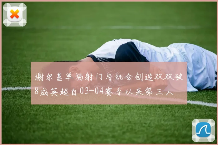 谢尔基单场射门与机会创造双双破8成英超自03-04赛季以来第三人